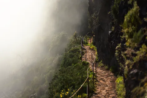 Madeira 3 — Madeira